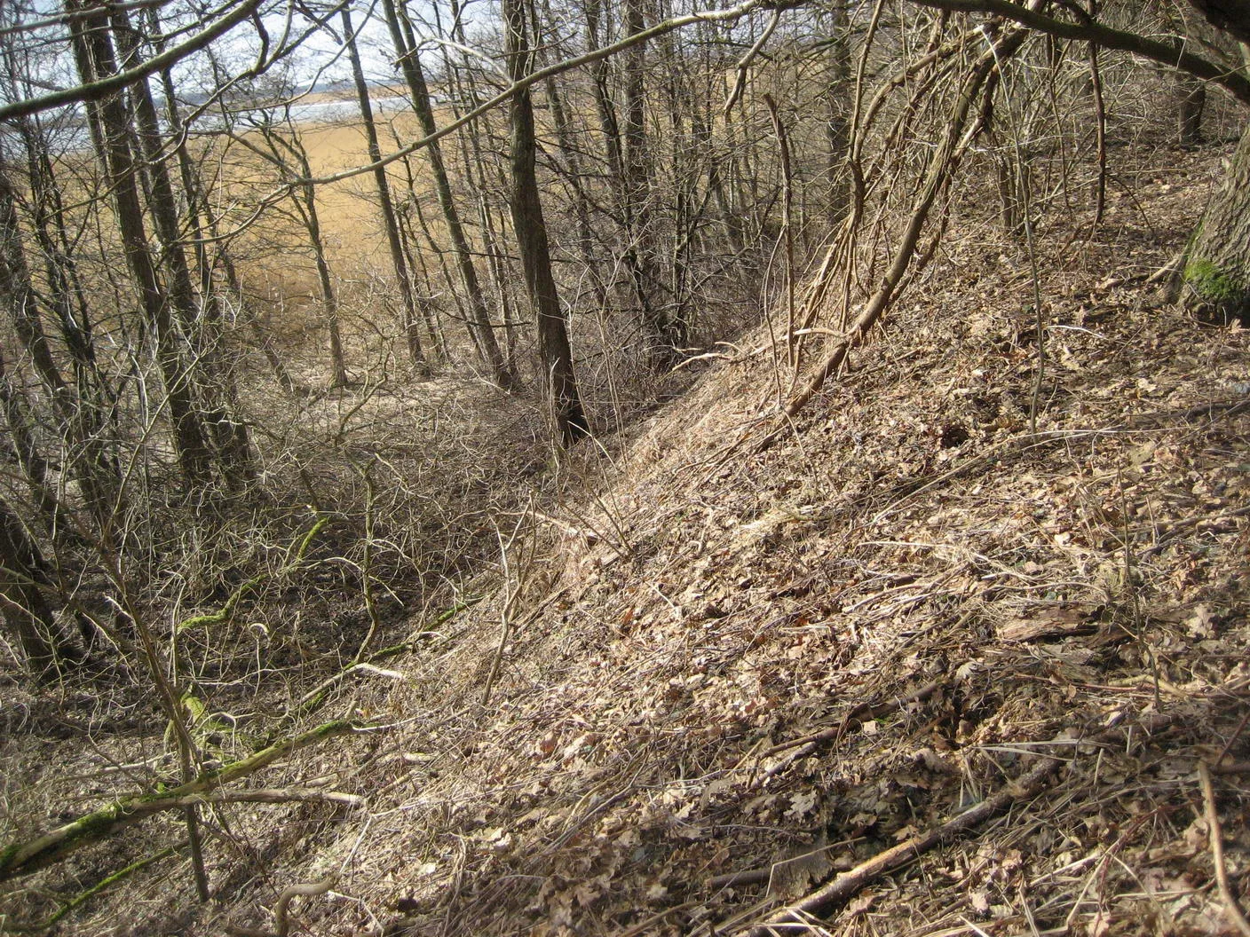 Steep wooded bank and hollow at the traditionally identified Conowedit site